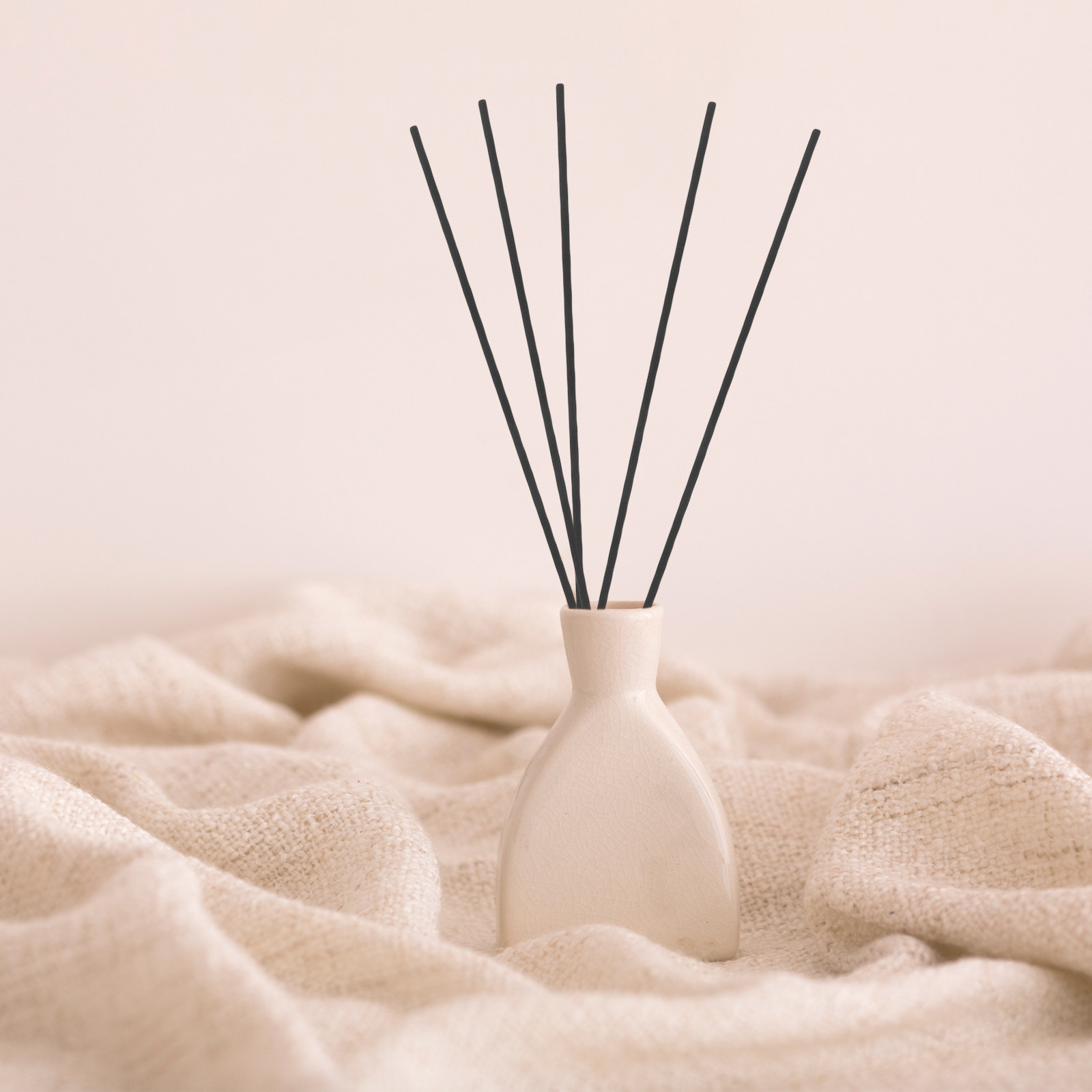 Home Fragrance With Essential Oils - 100 Stuks Vezel Riet Diffuser Sticks
